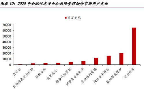 網(wǎng)絡(luò)安全的未來看服務(wù) 網(wǎng)絡(luò)與信息安全軟件開發(fā)的演進(jìn)之路